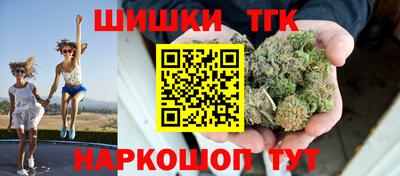 индика Партизанск