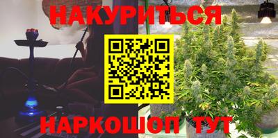 стаф Пенза