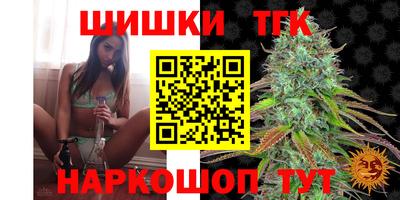 стаф Пенза