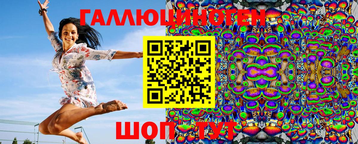 Тихорецк  Псилоцибиновые грибы прущие грибы  Вход с VPN  Псилоцибиновые грибы Psilocybine cubensis 